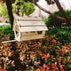 thumbnail image 5 of Wooden Birdhouse with Perch Bird Feeder Household Bird Box Suitable for Outdoor Garden Decoration Wood Color, 5 of 5