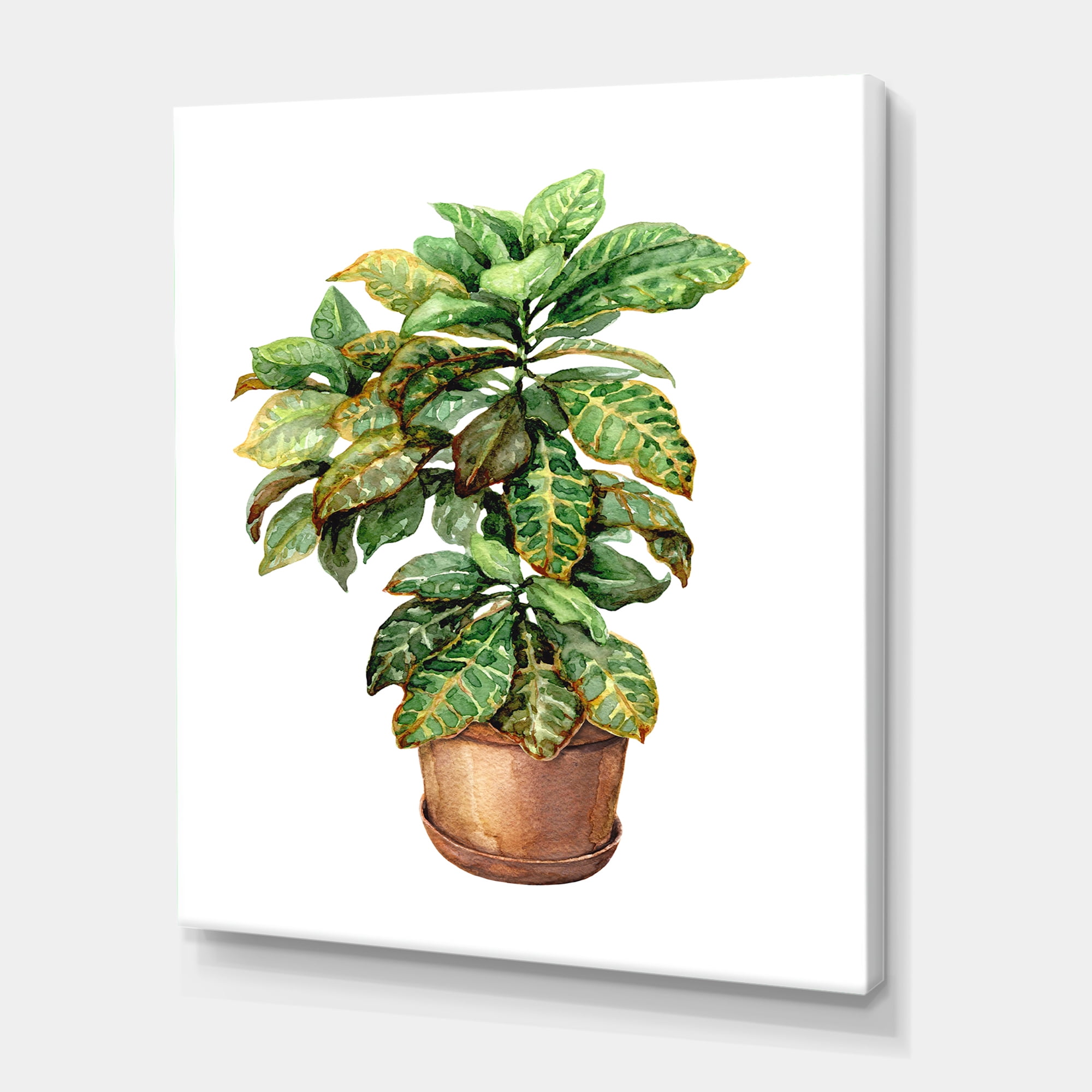 Green Croton In Clay Flowerpot 16 in x 32 in Painting Canvas Art Print, by Designart