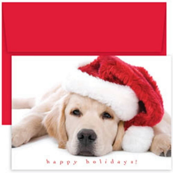 JAM Paper Christmas Card Sets, Santa Puppy, 18/Pack