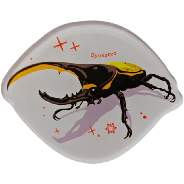Shiyou-Aimants pour Réfrigérateur à Thème Reptile - Design Original avec Résine Transparente, Ensemble de 5 Motifs Uniques, Parfait pour Réfrigérateur, Décoration de Panneau Perforé et Collectionneurs (Dynastes)