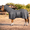 Dark Grey, variant on Resistance Horse Fly Sheet with Neck Cover and Belly Wrap, Mesh, UV Protection, Silver, Sizes 68 in–82 in