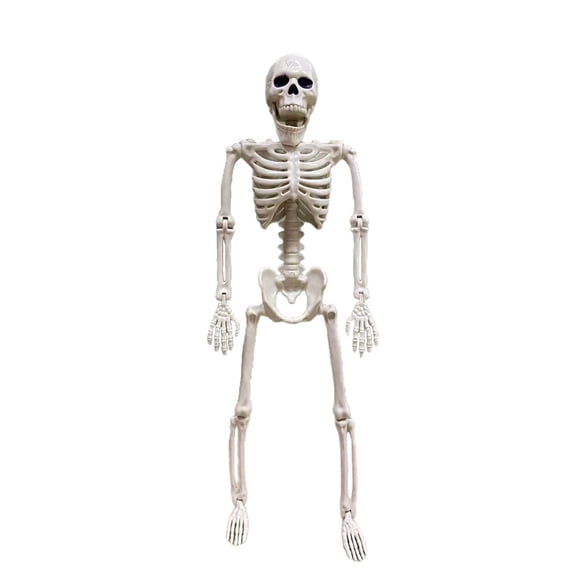 Posable Skeleton Halloween Decorations Poseable Skeleton With Realistic Movable Joints For Halloween Statues Son Ornament Garden Statues Small Heart Sculpture for Mom Decorations for Garden Large