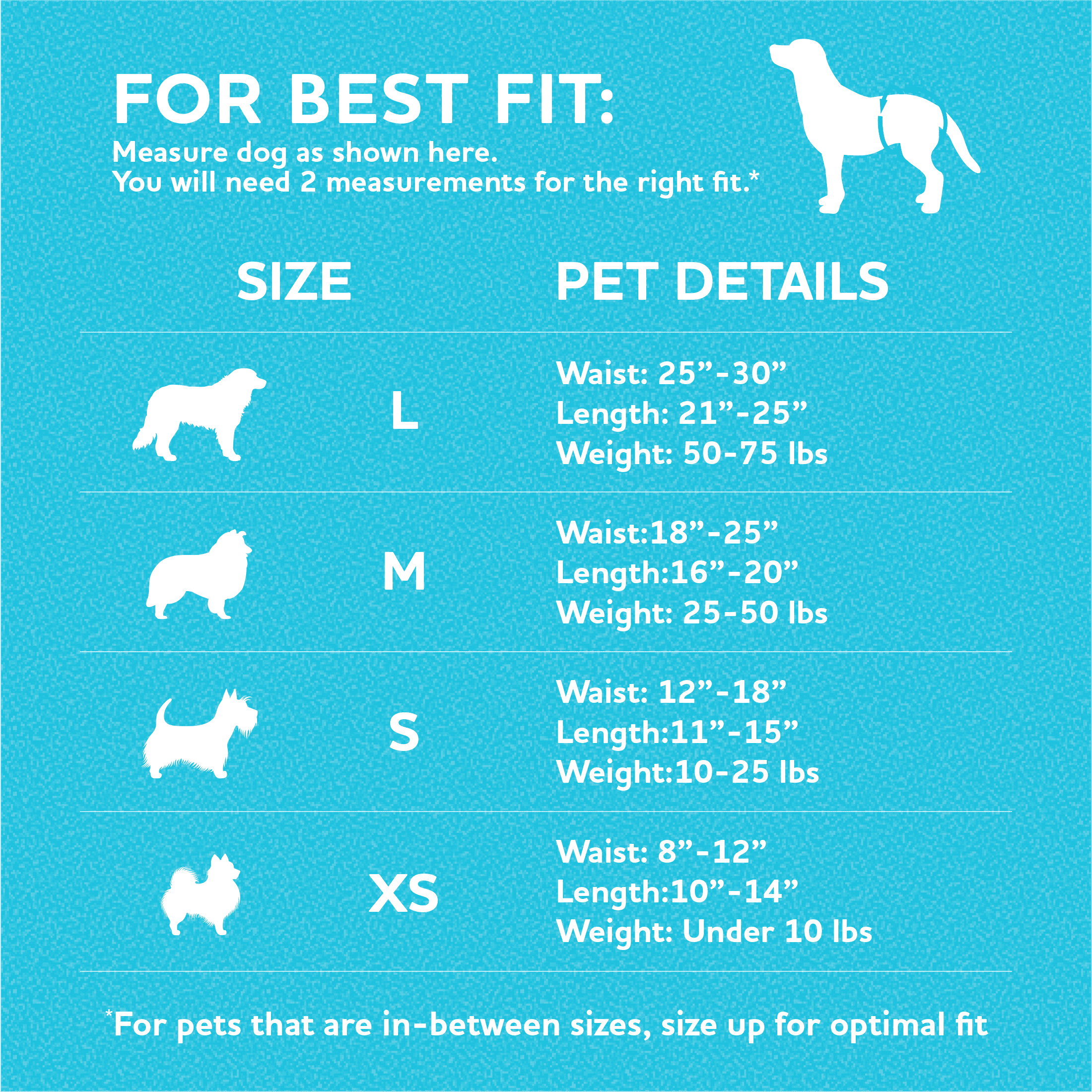 Vibrant Life Disposable Male Wraps for Dogs - Med 12Ct