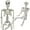 1pc 3ft-White, variant on TETOU 3ft Skeleton Halloween Decorations,Realistic Full Body Movable Posable Joints Skeleton, Creepy Plastic Skeleton for Halloween Party Haunted House Props Indoor Outdoor Decor