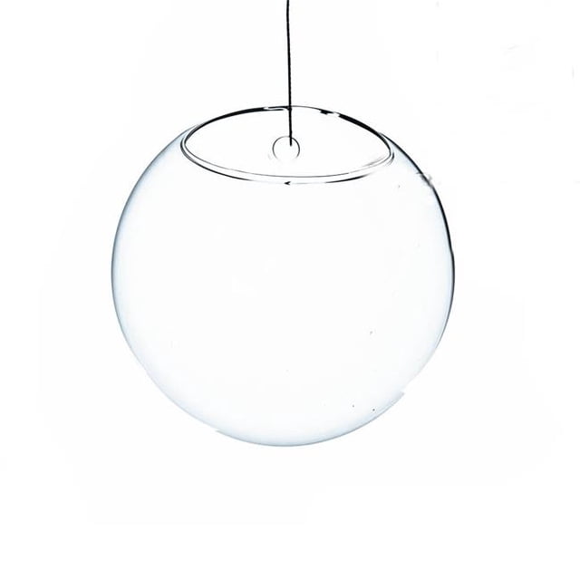Athenas Garden HCH1106 Terrarium et Vase Suspendus Muraux Demi-Ronds Transparents de 6 Po