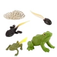 thumbnail image 2 of DPTALR 5 Piece Insect Figure Animal Life Cycle Plastic Brood To Mature Period, 2 of 7