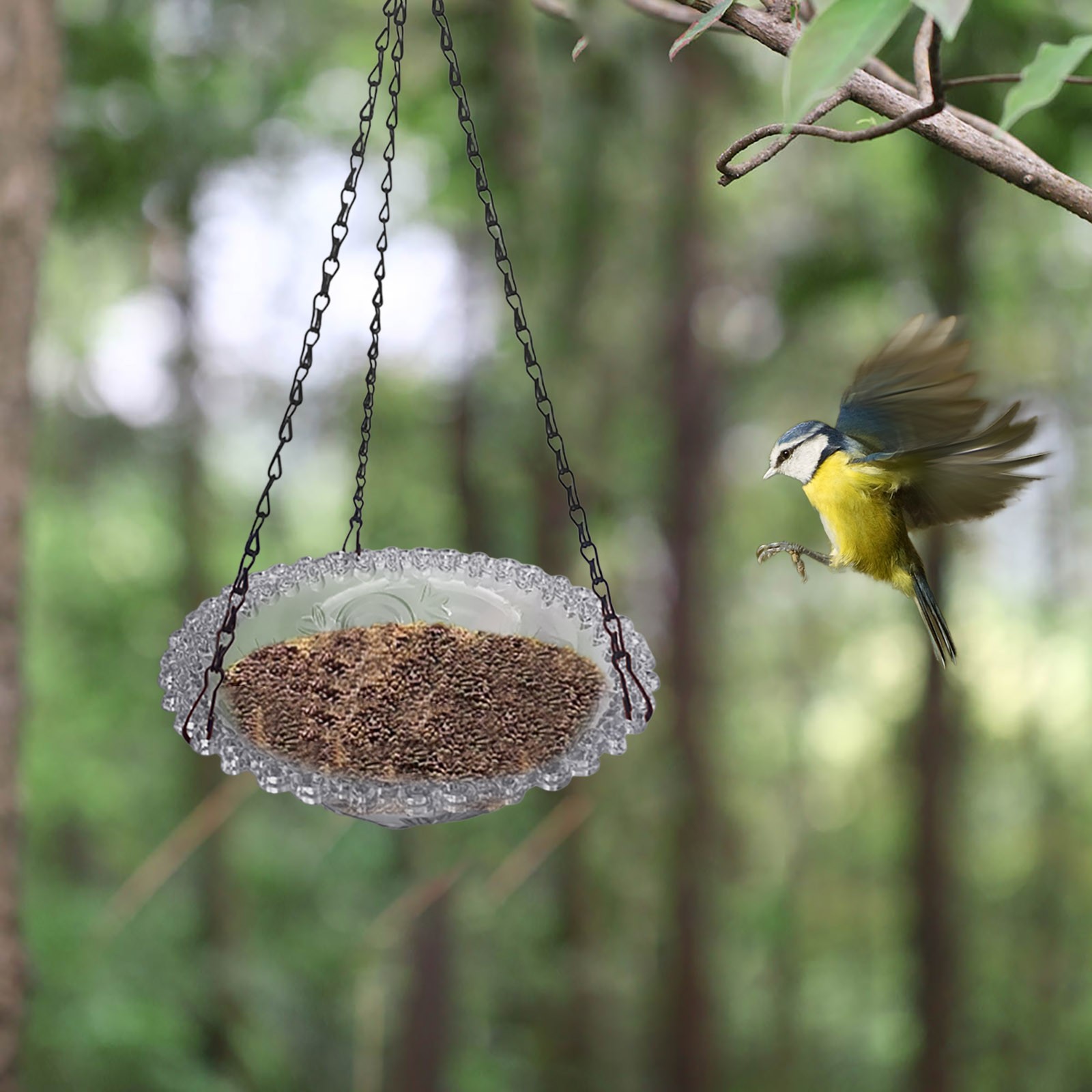 Hanging Bird Bath Outdoor Birdbath Bowl 2024 New Hanging Bird Feeder