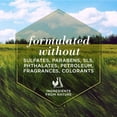 thumbnail image 6 of Burt's Bees Detangling Spray Conditioner for Dogs, 6 of 10
