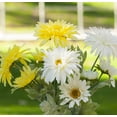 thumbnail image 2 of Enova Home Artificial Silk Daisy Fake Flower Arrangement in Clear Rectangle Glass Vase for Home Decór (Cream Yellow), 2 of 4