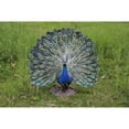 thumbnail image 5 of 22.50" Peacock with Feathers Out Outdoor Garden Statue, 5 of 6