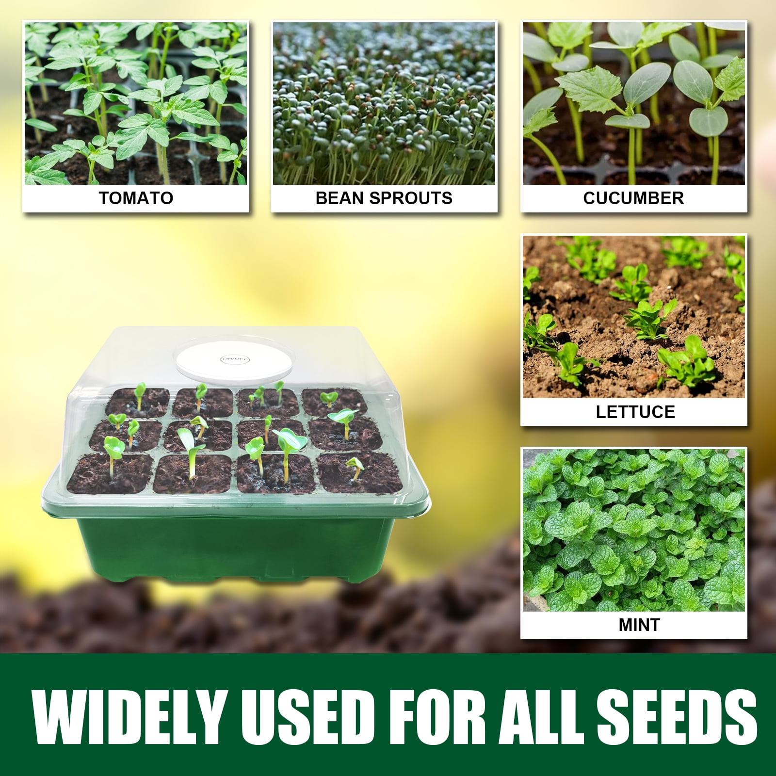 Enhance Your Gardening Success With Deep Root Trainers And Self