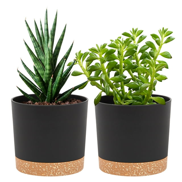 QCQHDU 2 Pack Plant Pot, Black Plastic Indoor Planter With Drainage Holes And Removable Base
