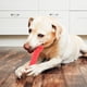 thumbnail image 2 of Juguete Para Mascotas, Barra Molar, Palo Para Dientes, Juguete Para Mascotas, Palo Para Masticar, Perro Para Entrenamiento Para Masticar Para Mascotas Para Entretenimiento Cergrey rojo L, 2 of 8