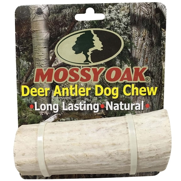 Mossy Oak: Deer Antler - Large - Dog Chew, Whole Piece, Naturally Shed, Long-Lasting Pet Treat, Preservative Free, Dental Health, Aggressive Chewers