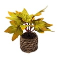 thumbnail image 2 of Artificial Fall Maple Potted Plant, Realistic Autumn Maple Leaf Bonsai With Woven Basket Pot,Fall Center Piece For Table,Thanksgiving Centerpieces For Tables,Farmhouse Shelf Mantel Home Decoration, 2 of 5