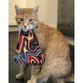 thumbnail image 3 of CatBib Bird Saving Cat Collar, Prevents Cats from Catching and Killing Birds, Colorful Wildlife Protection Bib, Small Rainbow, 3 of 6