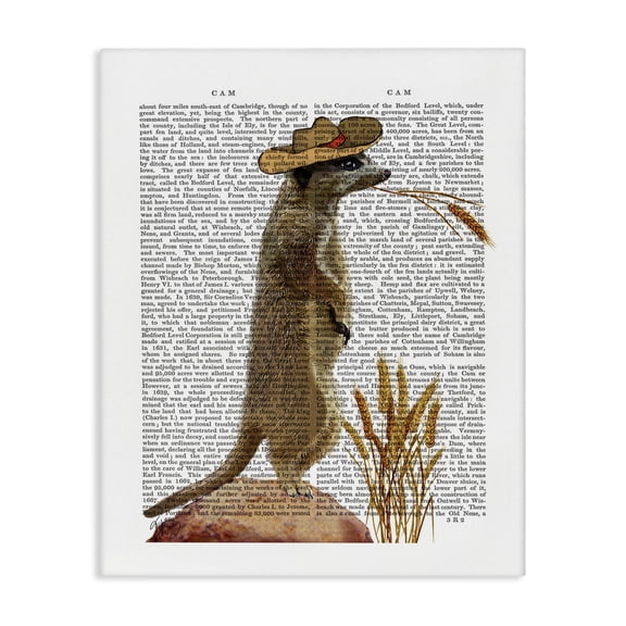 Stupell Industries Eclectic Meerkat in a Cowboy Hat Book Page Canvas Art, 30 x 40, by Fab Funky