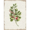 thumbnail image 2 of Jacobs, Cindy 15x18 White Modern Wood Framed Museum Art Print Titled - Berries Christmas Botanical, 2 of 4