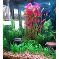 thumbnail image 3 of Decoraciones de plástico para acuarios con plantas grandes para acuarios, seguras para todos los peces, 40 cm x 18 cm, color morado, 3 of 5
