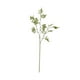 thumbnail image 2 of Ramas de olivo artificiales de 65 cm (25,5 pulgadas), hojas y tallos para florero, decoración del hogar, juego de 9 piezas., 2 of 7