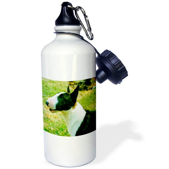 3dRose, Miniature Bull Terrier, 21 oz Sports Water Bottle