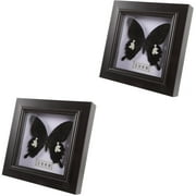 2 PCS Butterfly Taxidermy Decoration Artwork Display Bedrooms for Living Specimen Collection Lover Gift Frame