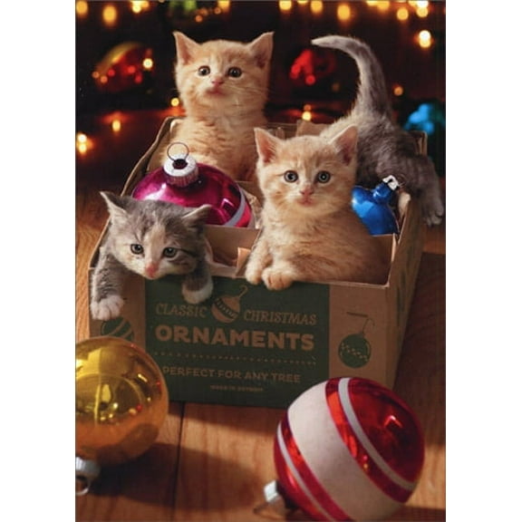 Avanti Press Kittens Playing in Box of Ornaments Cute Cat Christmas Card (1 card/1 envelope)