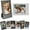 4Pack Black&4Pack White, variant on NOGIS Mini Photo Frames(8 Pack), Mini Picture Frame Set Compatible for Mini 12/ 11/9/8/7, 3-inch Photos, Cards or Tickerts(4Pcs Black&4Pcs White)