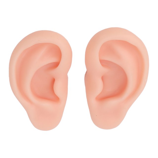Silicone Ear Model, Simulation Convenient Reusable Practice Experience Ear Model Widely Used For Ear Exercise Light Skin Color,Medium Skin Color,Deep Skin Color