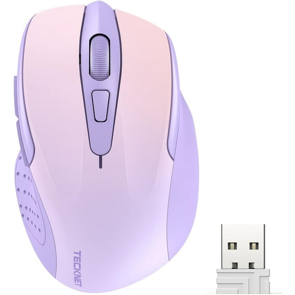 ERDS-Wireless Mouse, 2.4G Ergonomic Optical Mouse, Computer Mouse for Laptop, PC, Computer, Chromebook, Notebook, 6 Buttons, 24 Months Battery Life, 4000 DPI, 6 Adjustment Levels