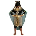 thumbnail image 1 of Anubis Children's Costume, 1 of 4