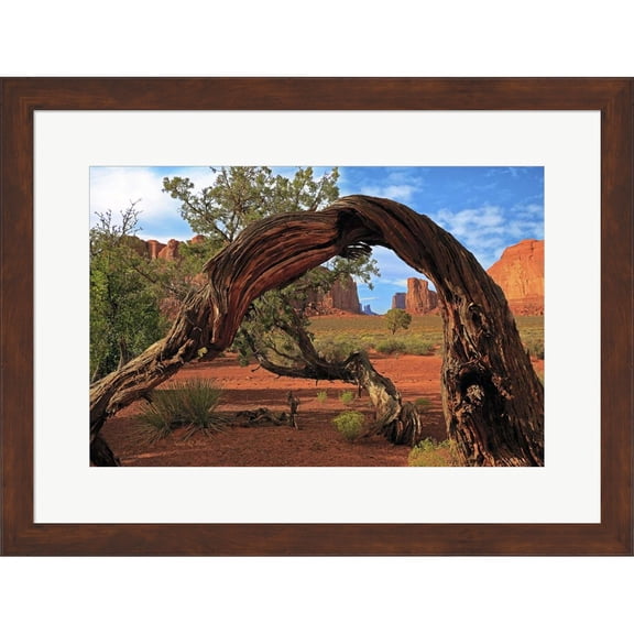 Great Art Now Monument Valley by Susan Quin Byrd, Framed Wall Art, 24.75W x 18.75H