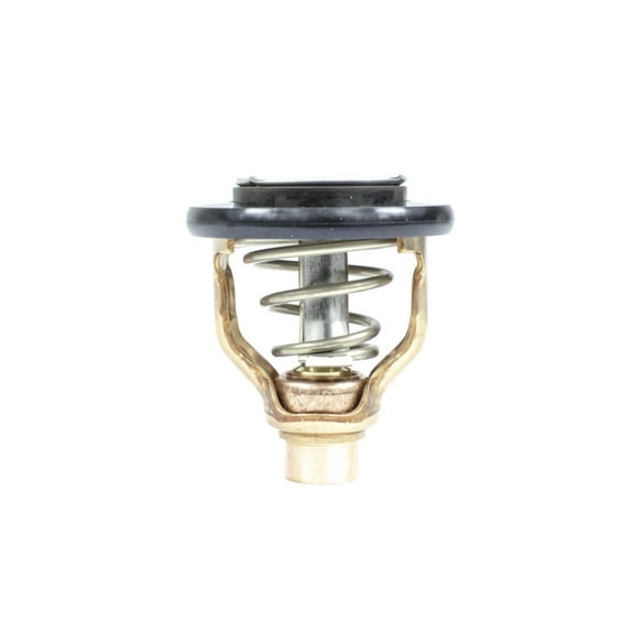 Sierra 18-3634 Thermostat