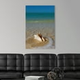 thumbnail image 3 of Great Big Canvas "Florida, Florida Keys, Conch shell on sandy beach, Key West"  by Chris Parker Brown Gray   Wrapped Canvas Print Wall Artwork, 3 of 7