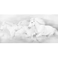thumbnail image 2 of PHBurchett 18x11 White Modern Wood Framed Museum Art Print Titled - All the White Horses, 2 of 4