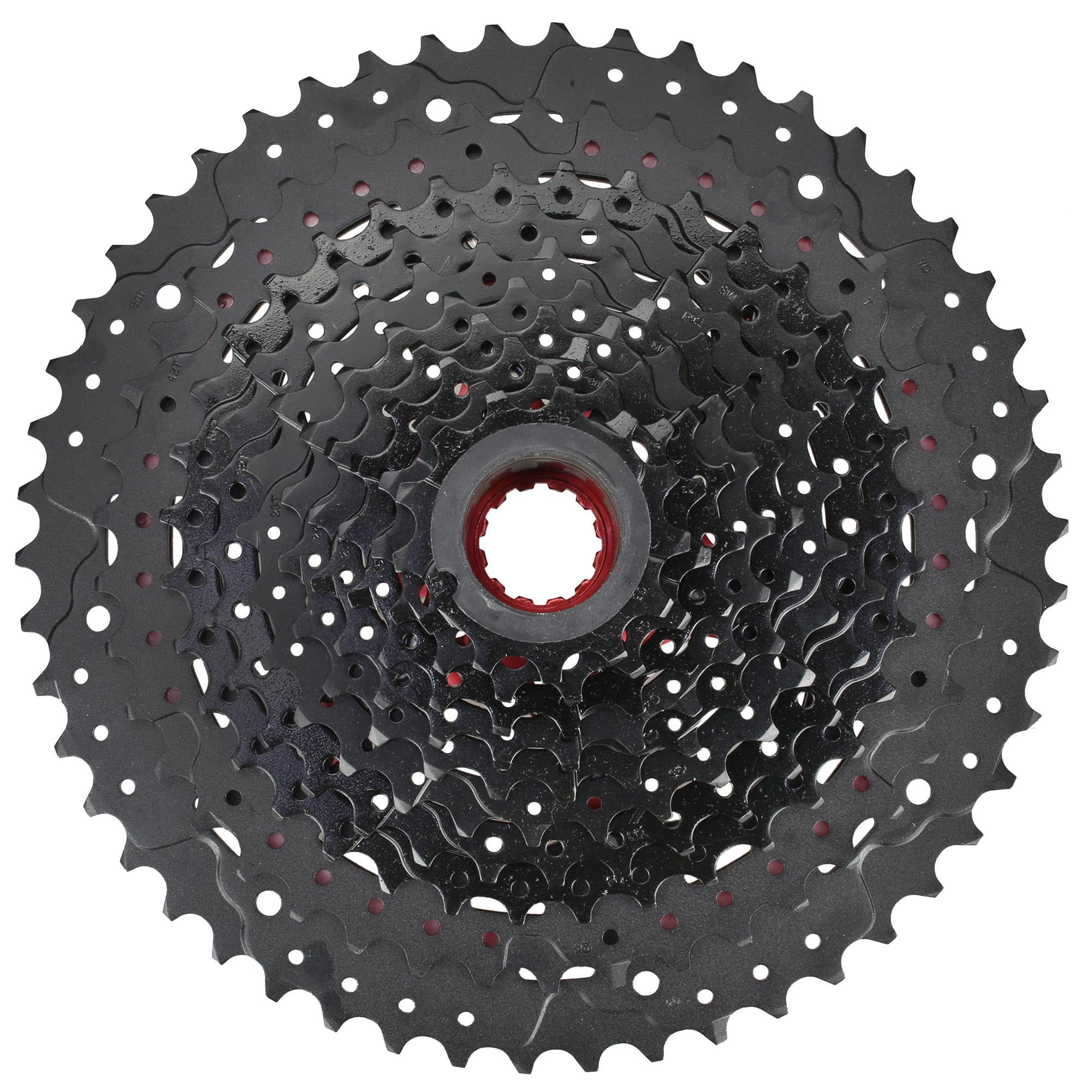 11 speed bike