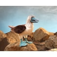 thumbnail image 4 of Marioneta de mano Folkmanis, pajarito piquero de patas azules, 4 of 5