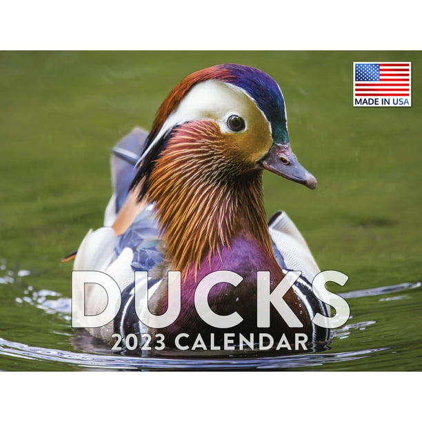 Dunkin Ducks Calendar Printable Word Searches Dunkin Ducks Calendar Printable Word Searches