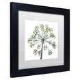 thumbnail image 4 of Trademark Fine Art "Nature's Amazing Wonder" Canvas Art by Kurt Shaffer, White Matte, Black Frame, 4 of 4