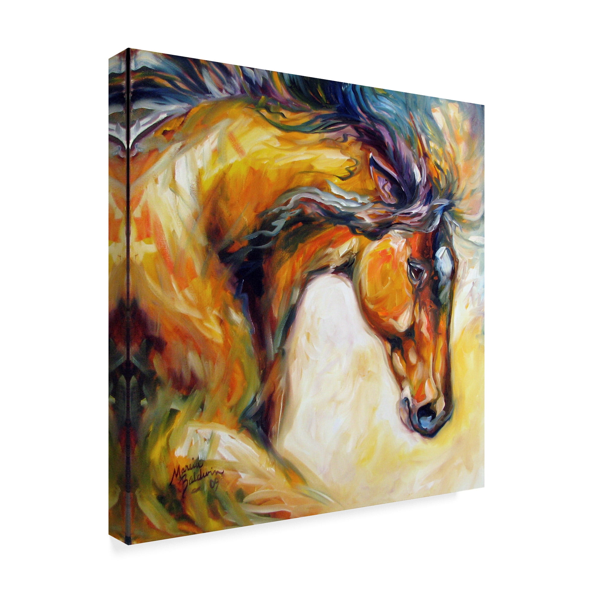 Trademark Fine Art 'Determined Equine' Canvas Art by Marcia Baldwin