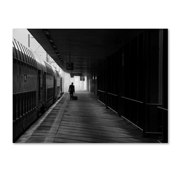 Trademark Fine Art 'Passenger' Canvas Art by Christoph Hessel