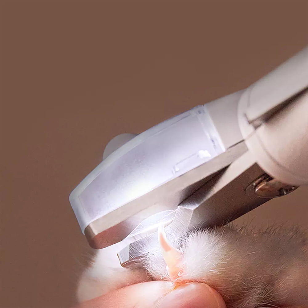 Amazon.com: Small Animals Nail Clippers with LED Lights to Avoid Excessive  Cutting and Razor Sharp Blades - Professional Claw Trimmer for Tiny Dog Cat  Kitten Bunny Rabbit Bird Guinea Pigs Ferret Hamsters (