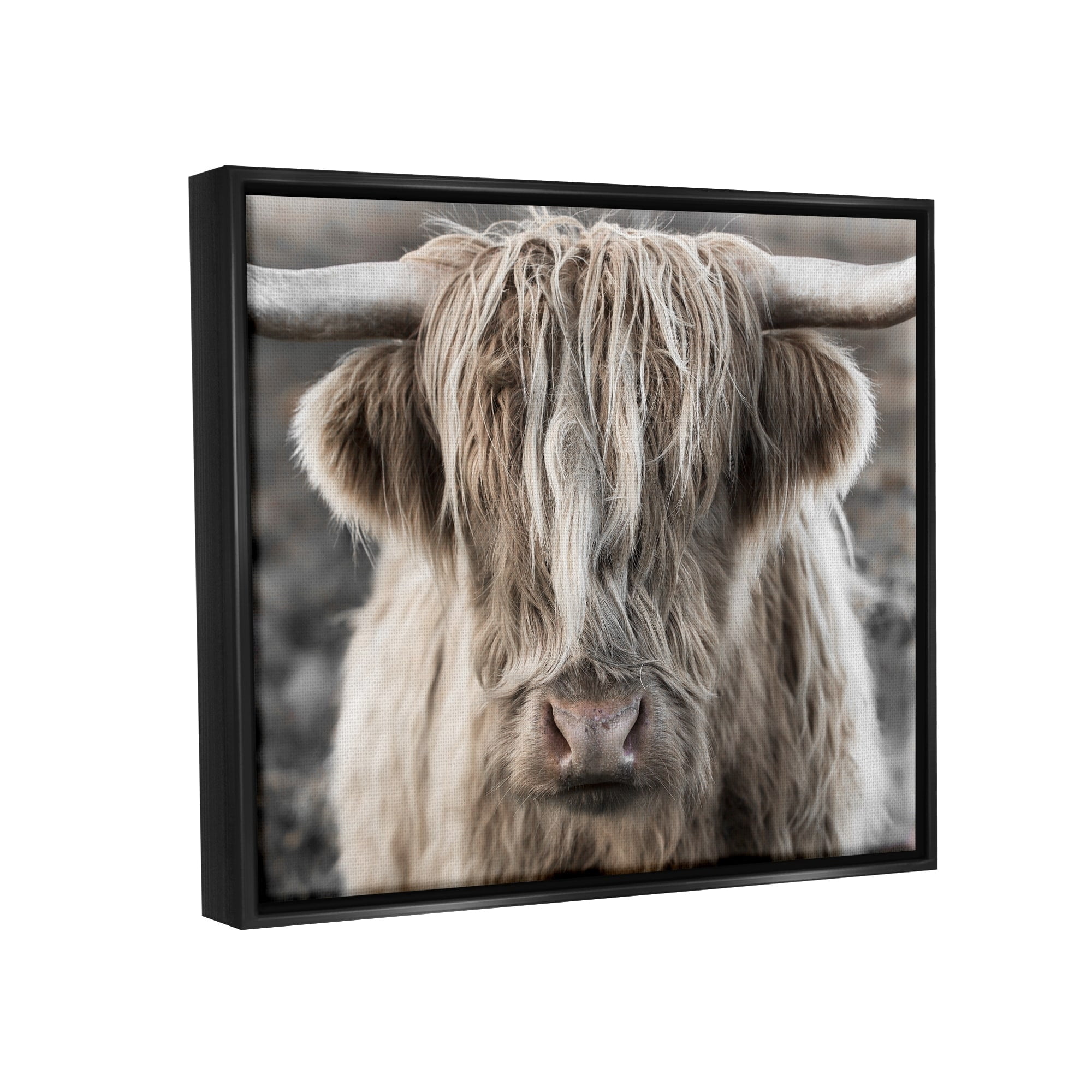 Stupell Industries Detailed Highlands Cattle Rural Farm Animal Photography Photograph Jet Black Floating Framed Canvas Print Wall Art, Design by Danita Delimont