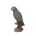 thumbnail image 2 of Hi-Line Gift Grey Gabon Parrot ON Stump, 2 of 6