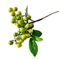 thumbnail image 1 of Bayas artificiales realistas Plantas de frutas decorativas de simulación de mini bayas falsas (verde), 1 of 3