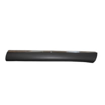 FRONT PASSENGER SIDE LOWER DOOR MOLDING; TEXTURED-BLACK WITH UPPER    CHROME TRIM; MADE OF PLASTIC