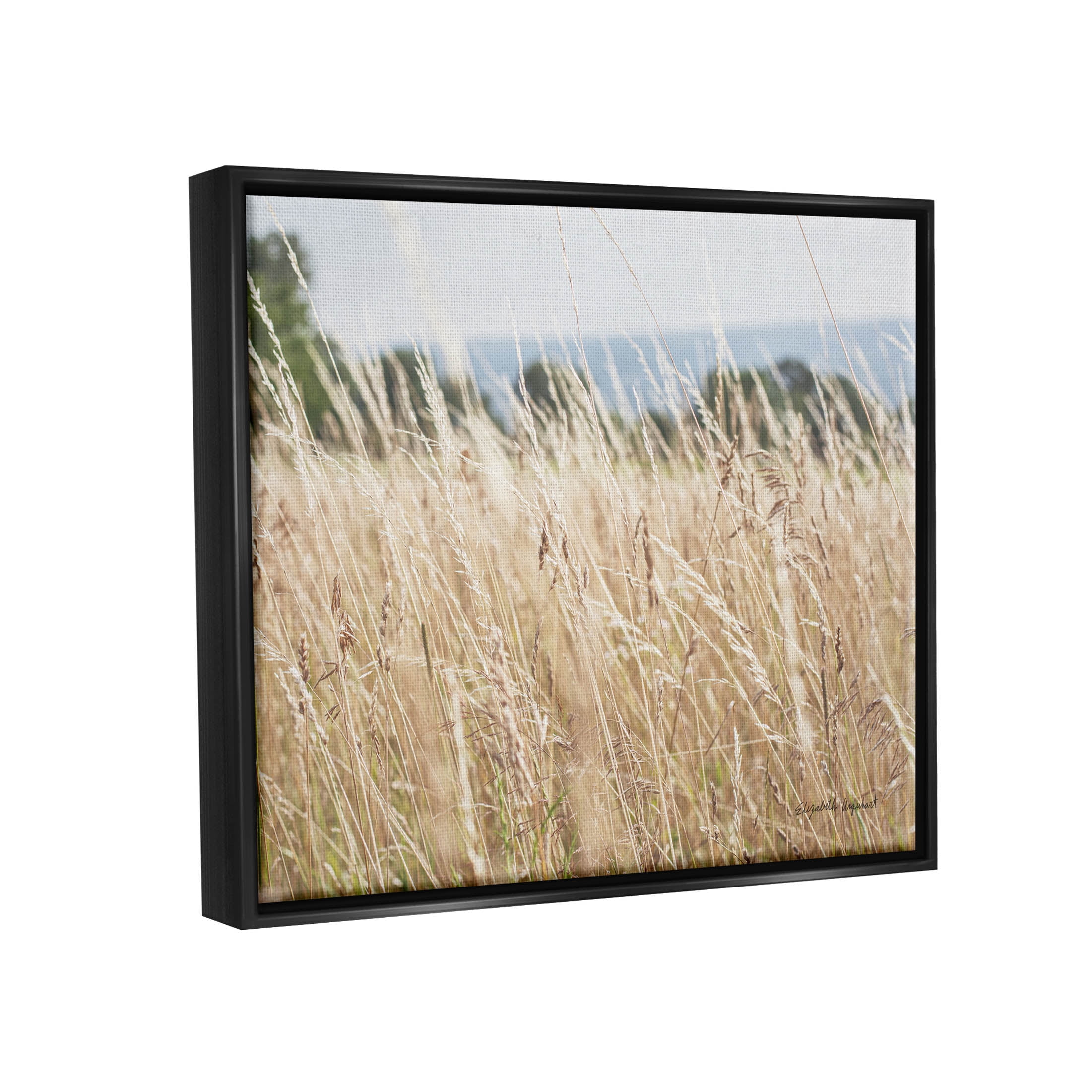 Stupell Industries Rural Wheat Field Spring Breeze Photograph Jet Black Floating Framed Canvas Print Wall Art, Design by Elizabeth Urquhart