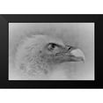 thumbnail image 1 of Andreescu, Cristian 14x11 Black Modern Framed Museum Art Print Titled - Bald Eagle, 1 of 4