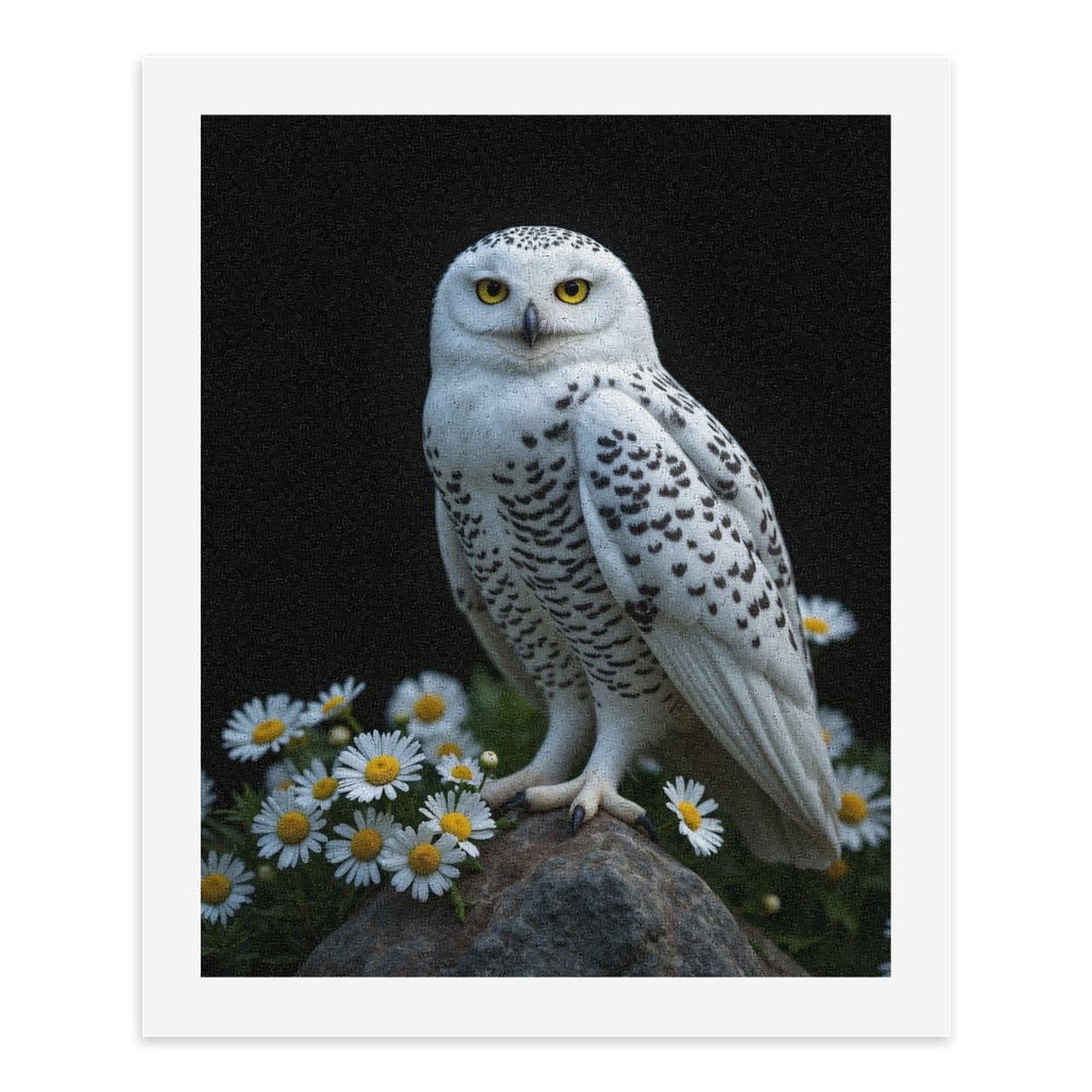 Paint by Numbers Kit for Adults, Snowy Owl On Rock With Daisies Paint by Numbers, Easy Paint by Numbers Kit for Adults Beginner, DIY Adult Paint by Number Kits on Canvas, Home Decor