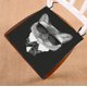 thumbnail image 1 of ABPHQTO Retrato de gato siamés Cojín para silla Cojín para asiento Cojín para silla Cojín para suelo 45x45 cm, 1 of 1